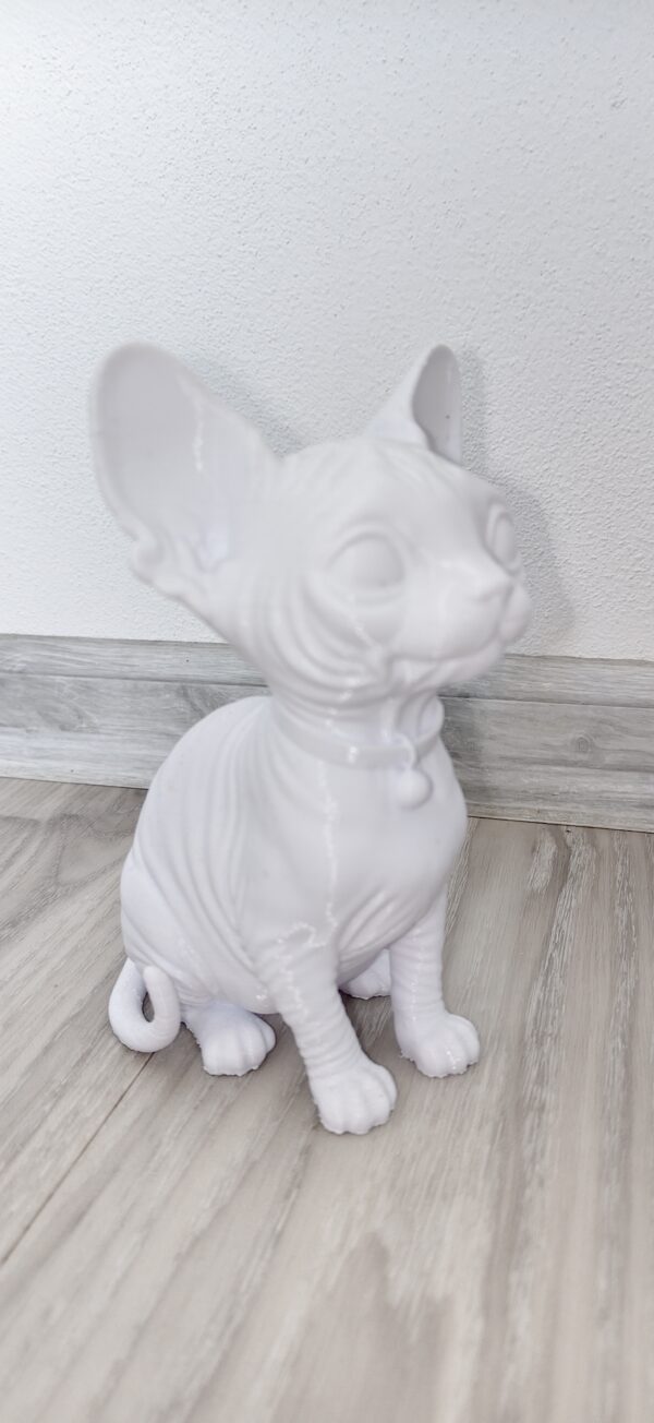 Kreativní plátno v trojrozměrném světě: 3D tištěná kočka Sphynx