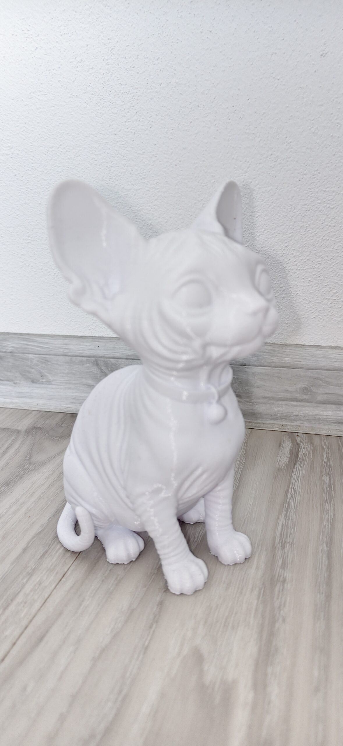 Kreativní plátno v trojrozměrném světě: 3D tištěná kočka Sphynx - Obrázek 1
