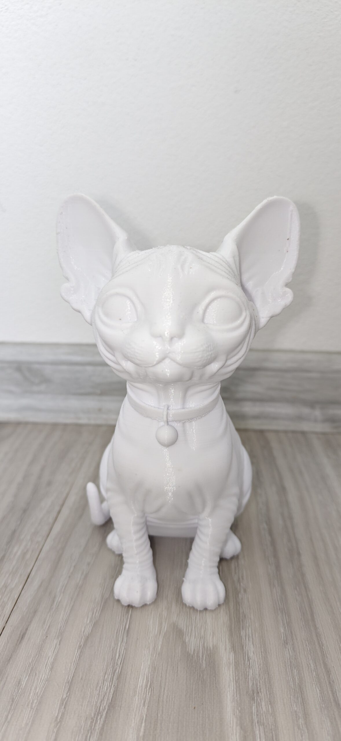 Kreativní plátno v trojrozměrném světě: 3D tištěná kočka Sphynx - Obrázek 4