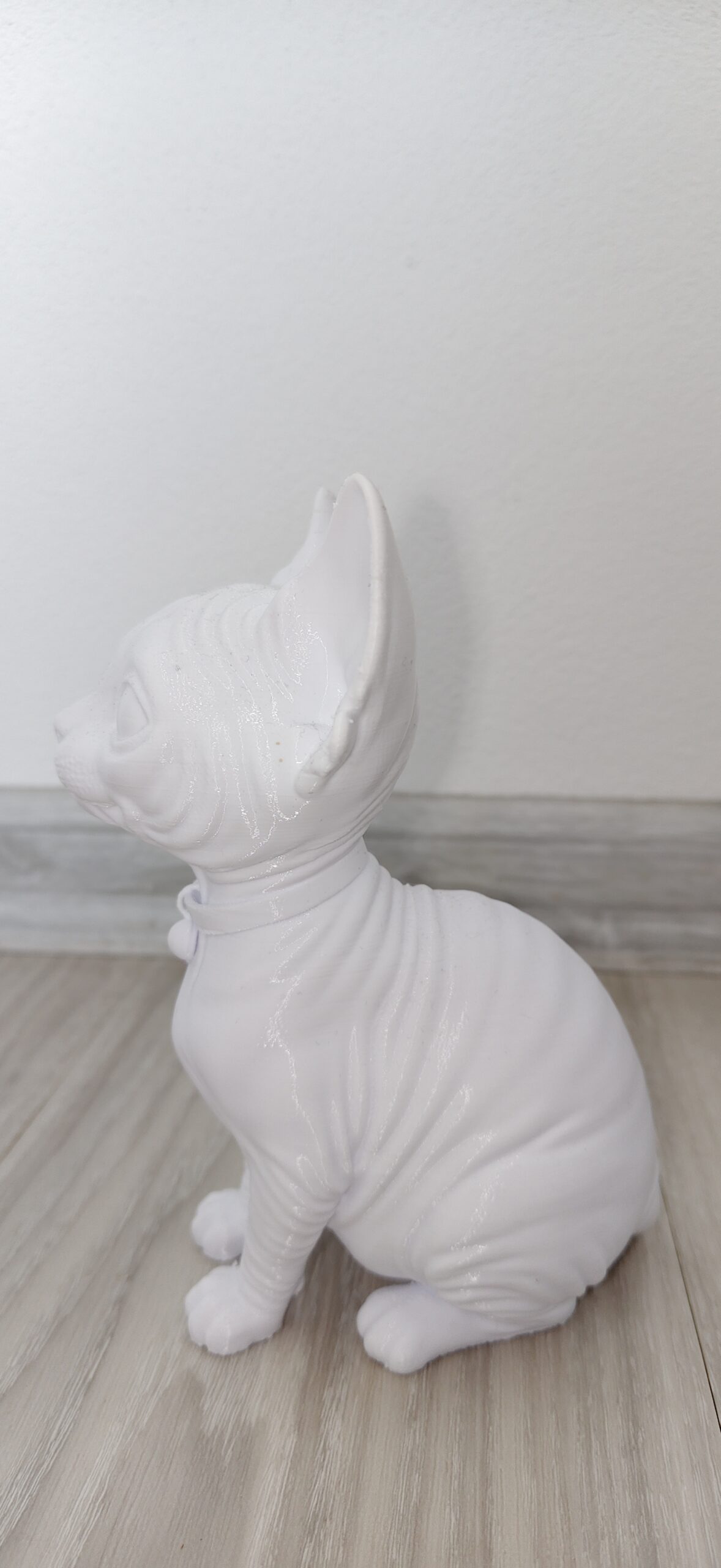 Kreativní plátno v trojrozměrném světě: 3D tištěná kočka Sphynx - Obrázek 3